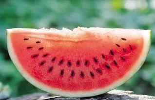 丁山吃大瓜,畅享夏日大瓜盛宴  第2张